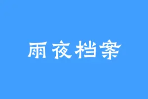 雨夜档案