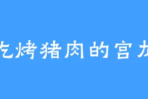 爱吃烤猪肉的宫龙生