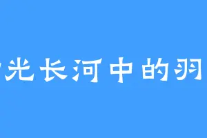 时光长河中的羽毛