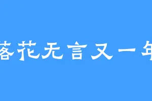 落花无言又一年