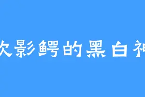 喜欢影鳄的黑白神虎