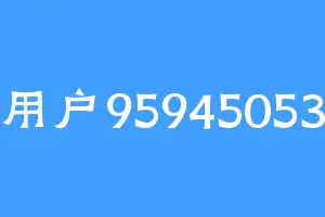 用户95945053