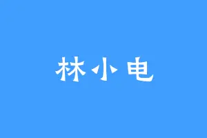 林小电