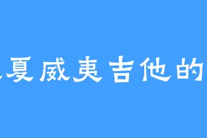 喜欢夏威夷吉他的阿二