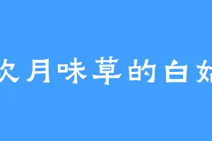 喜欢月味草的白姑娘