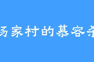 杨家村的慕容杀