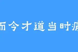 而今才道当时痛