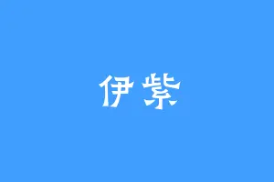 伊紫