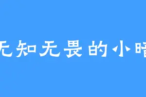无知无畏的小暗