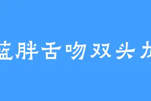 蓝胖舌吻双头龙