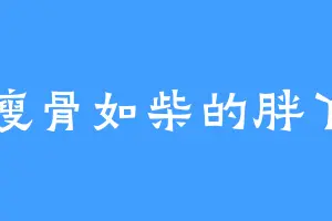 瘦骨如柴的胖丫