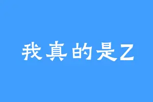 我真的是Z