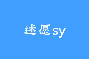 述愿sy