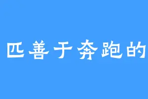 一匹善于奔跑的马