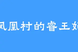 凤凰村的睿王妃