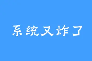 系统又炸了