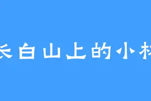 长白山上的小林