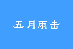 五月雨击