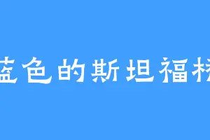 蓝色的斯坦福桥