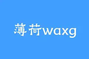 薄荷waxg