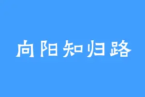 向阳知归路