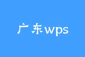 广东wps