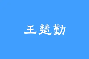 王楚勤
