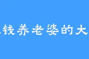 赚钱养老婆的大佬