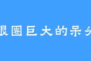 黑眼圈巨大的呆头鱼