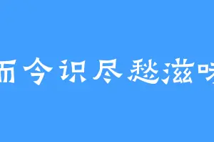 而今识尽愁滋味