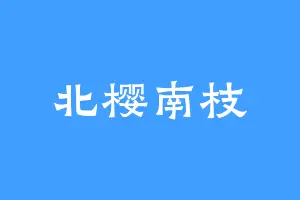 北樱南枝