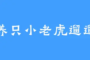 养只小老虎遛遛