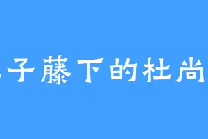 杜子藤下的杜尚别