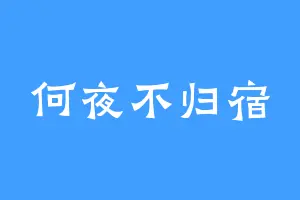 何夜不归宿