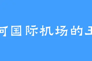 天河国际机场的玉兰