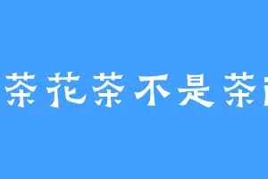 茶花茶不是茶i