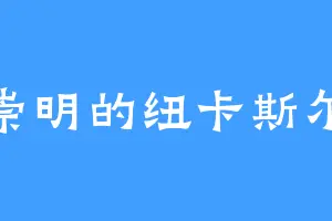 崇明的纽卡斯尔