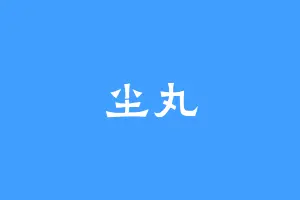 尘丸