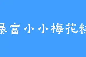 暴富小小梅花糕