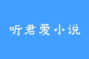 听君爱小说