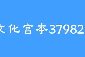 文化宫本379820