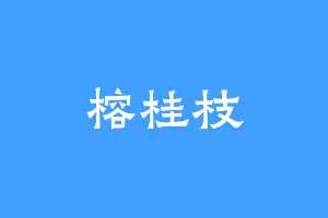 榕桂枝