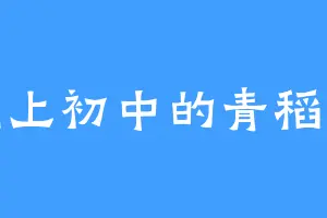 刚上初中的青稻米