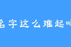 名字这么难起吗